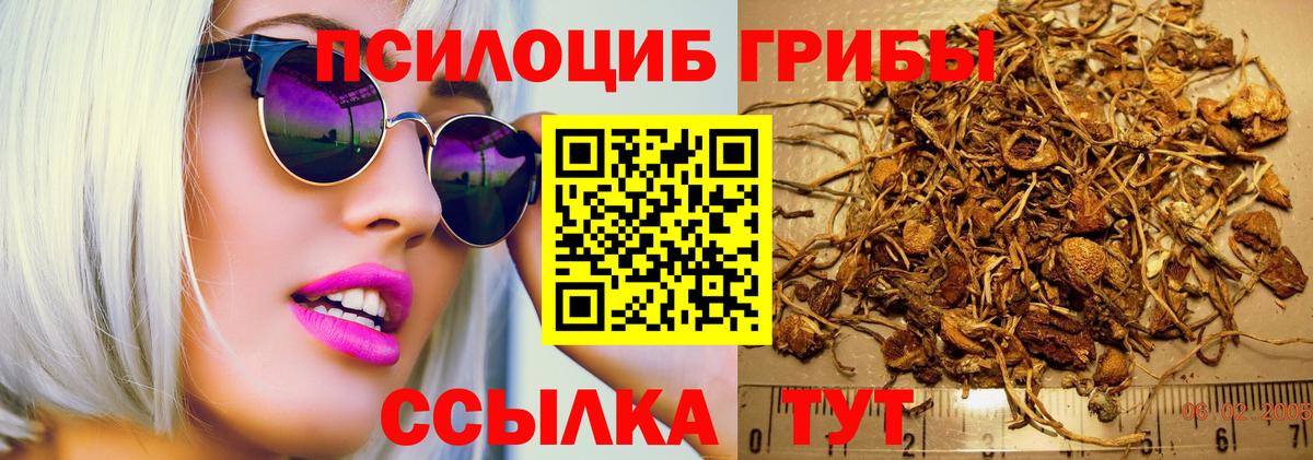 Галлюциногенные грибы Cubensis  Вход с VPN  Елец 